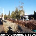 Descubra o Mapa de Campo Grande em Lisboa