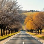 Estrada rural em Portugal com cerejeiras em flor de um lado e árvores com folhas de outono do outro, ilustrando as estações do ano em português