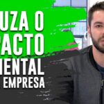 Empresas Sustentáveis: O Futuro da Responsabilidade Ambiental