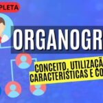 Organograma: Estrutura e Benefícios para sua Empresa