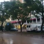 Impacto da Meteorologia na Cultivação do Olival Basto