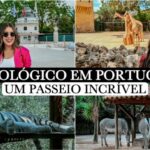 Ingressos para o Jardim Zoológico de Lisboa: Tudo que Você Precisa Saber