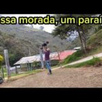 Hospitais da Luz: Excelência e Inovação em Cuidados de Saúde